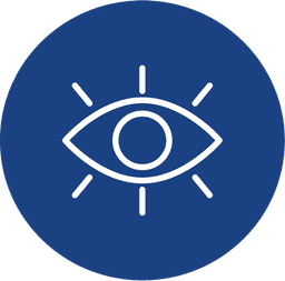 Visión